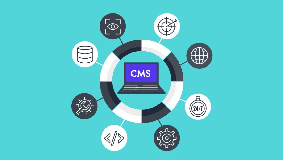 Leveling Up Website Development: Top 7 CMS Solutions of 2024